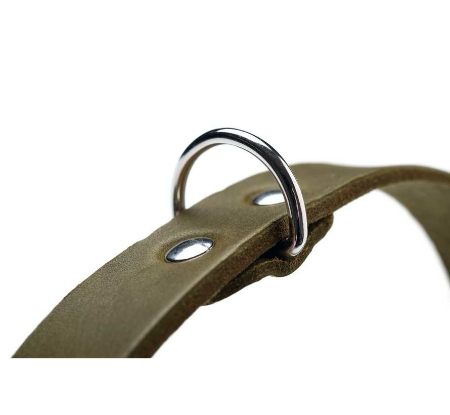 Hondenhalsband Aalborg Olive