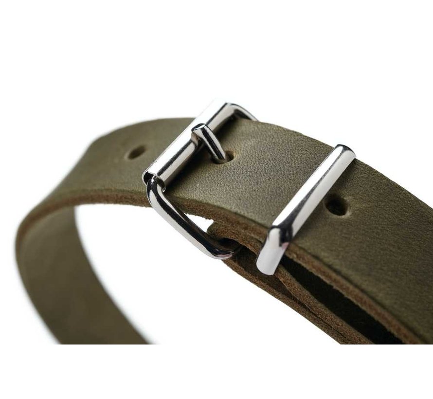 Dog Collar Aalborg Olive