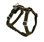 Dog Harness Aalborg Olive