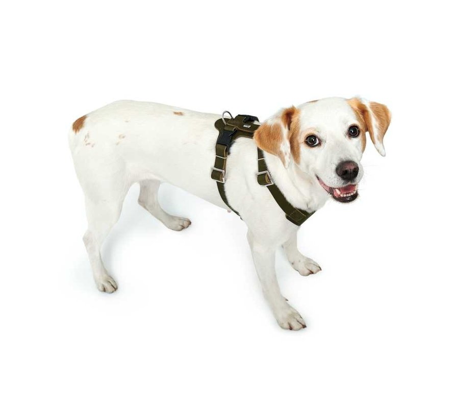 Dog Harness Aalborg Olive