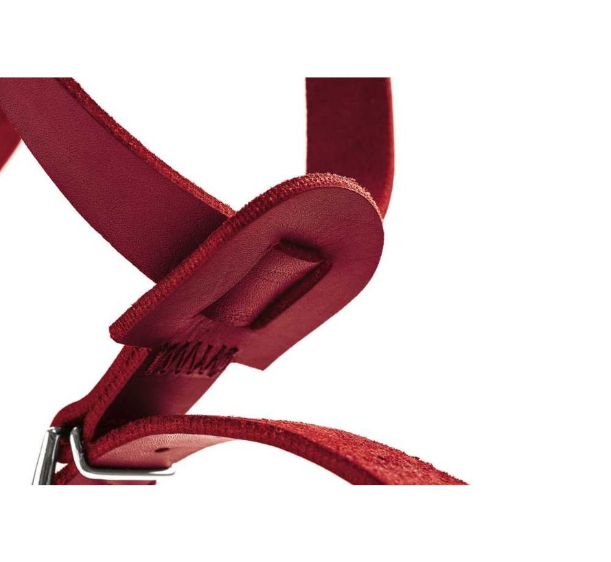 Aalborg Red Dog Harness