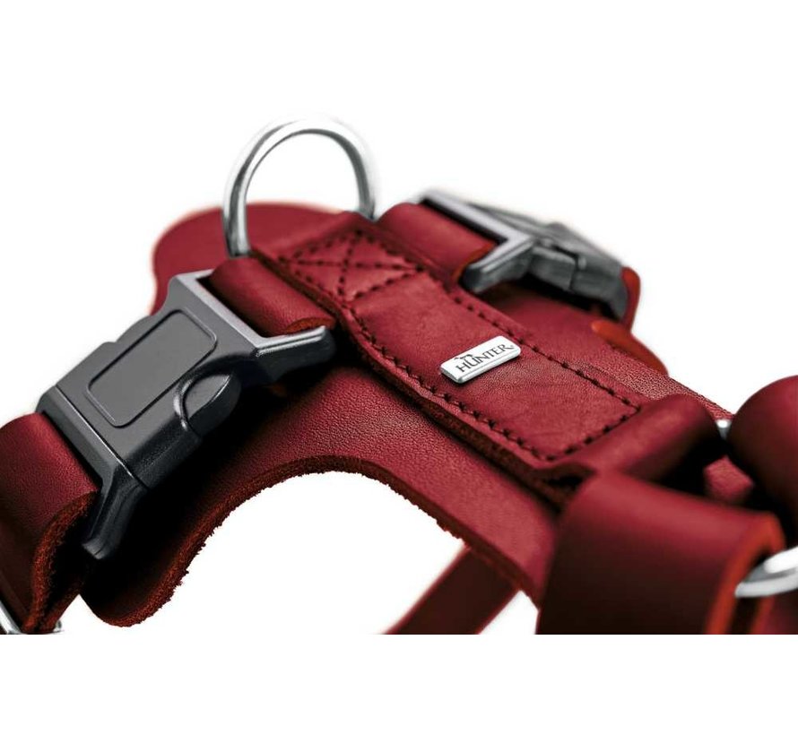 Aalborg Red Dog Harness