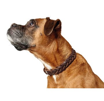 Hunter Dog Collar Solid Education Brown