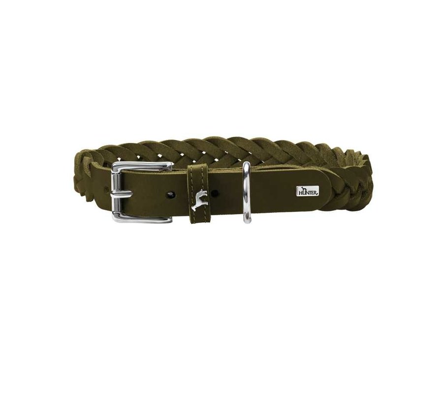 Dog Collar Solid Education Olive