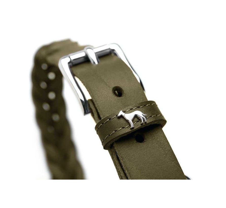 Dog Collar Solid Education Olive