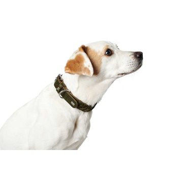 Hunter Dog Collar Solid Education Olive