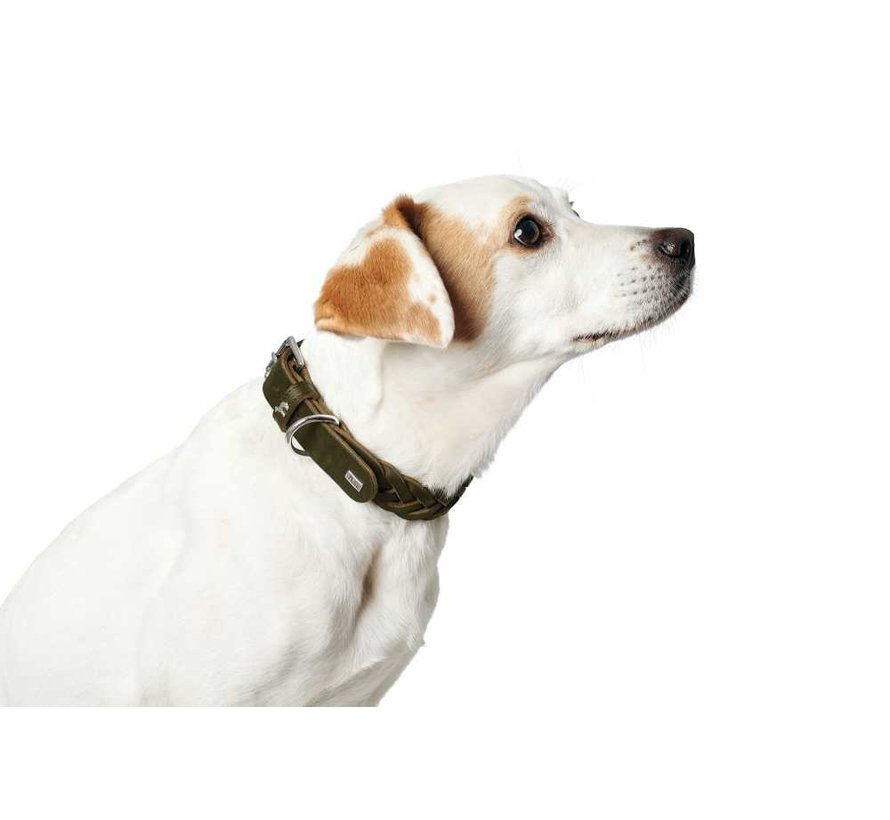 Dog Collar Solid Education Olive