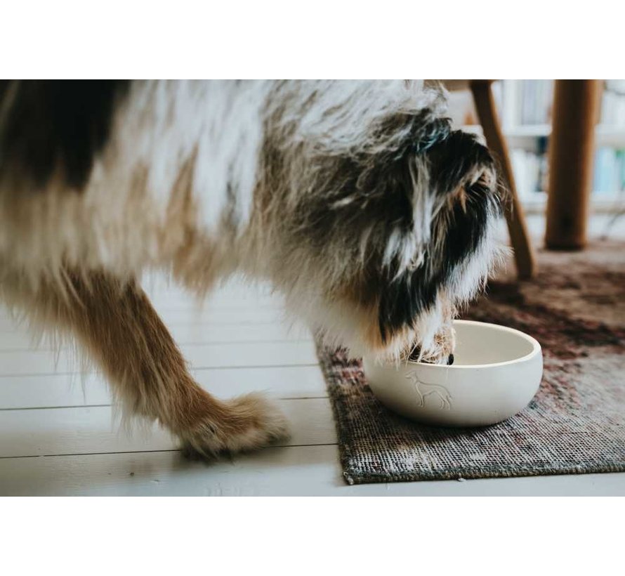 Drinking Bowl or Feeding Bowl Lund White