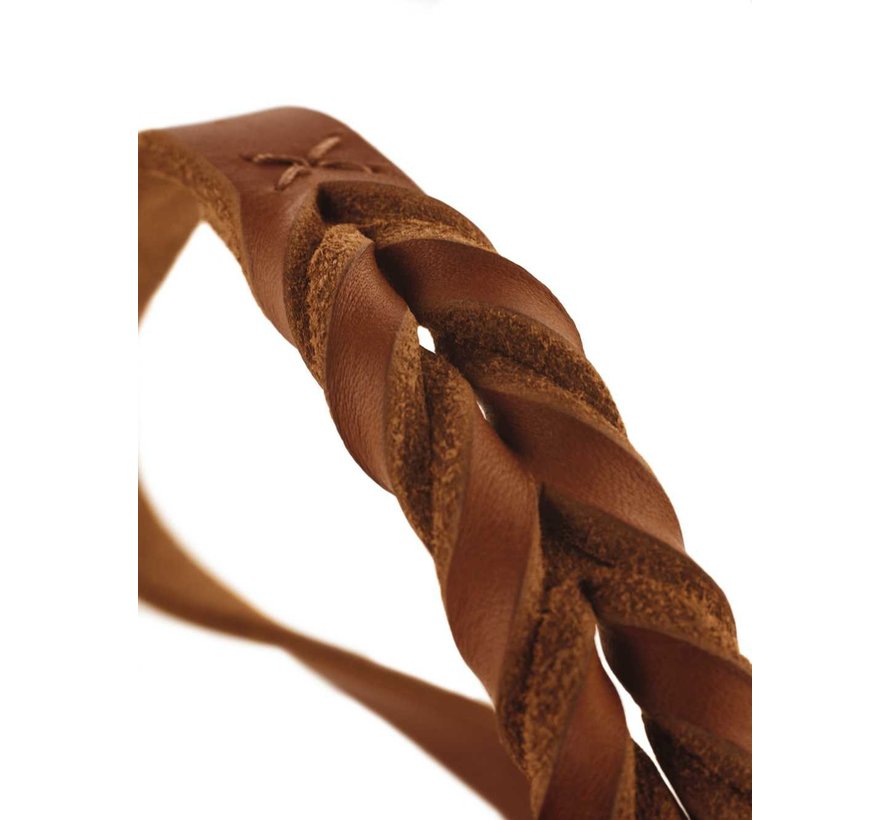 Hondenhalsband Solid Education Cognac