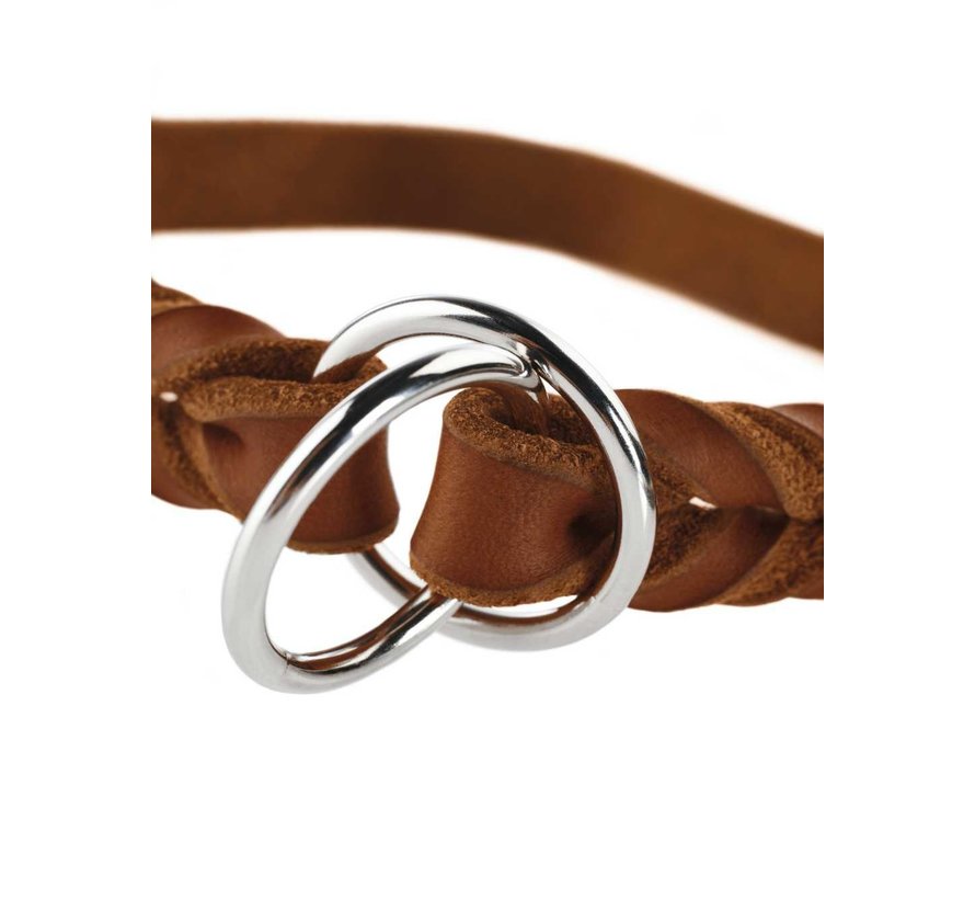 Hondenhalsband Solid Education Cognac