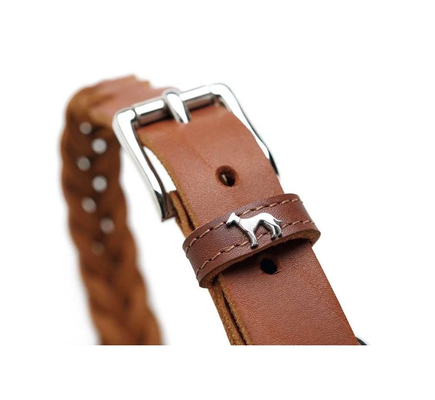 Dog Collar Solid Education Cognac