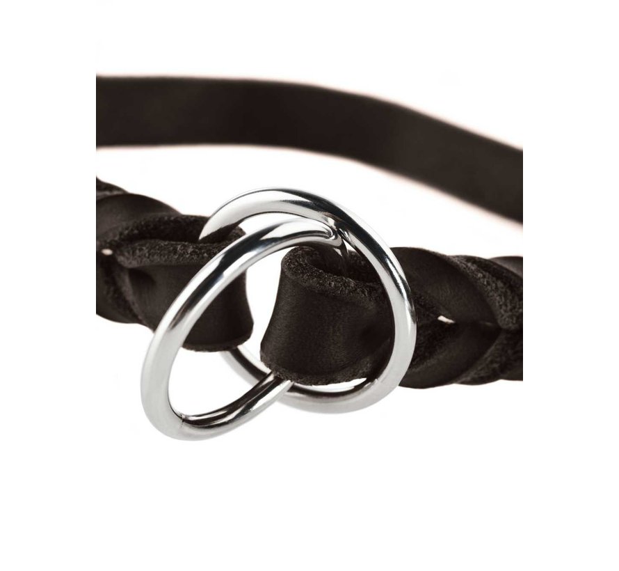 Hondenhalsband Solid Education Bruin