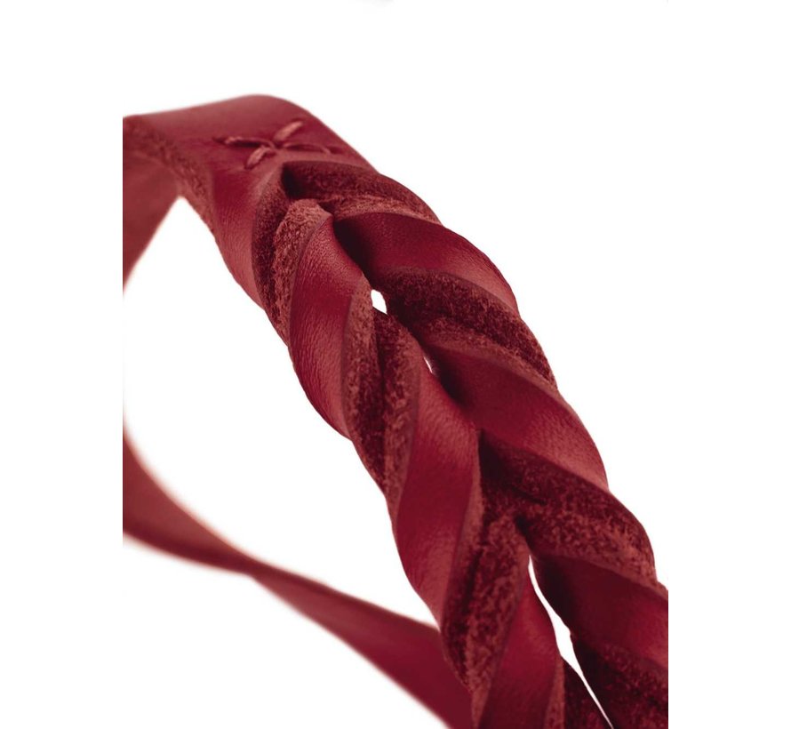 Dog Collar Solid Education Red