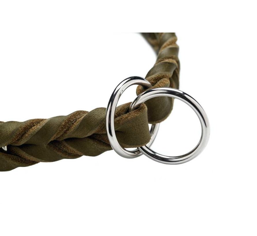 Hondenhalsband Solid Education Olive