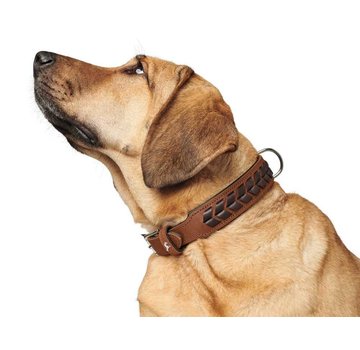 Hunter Dog Collar El Paso Cognac