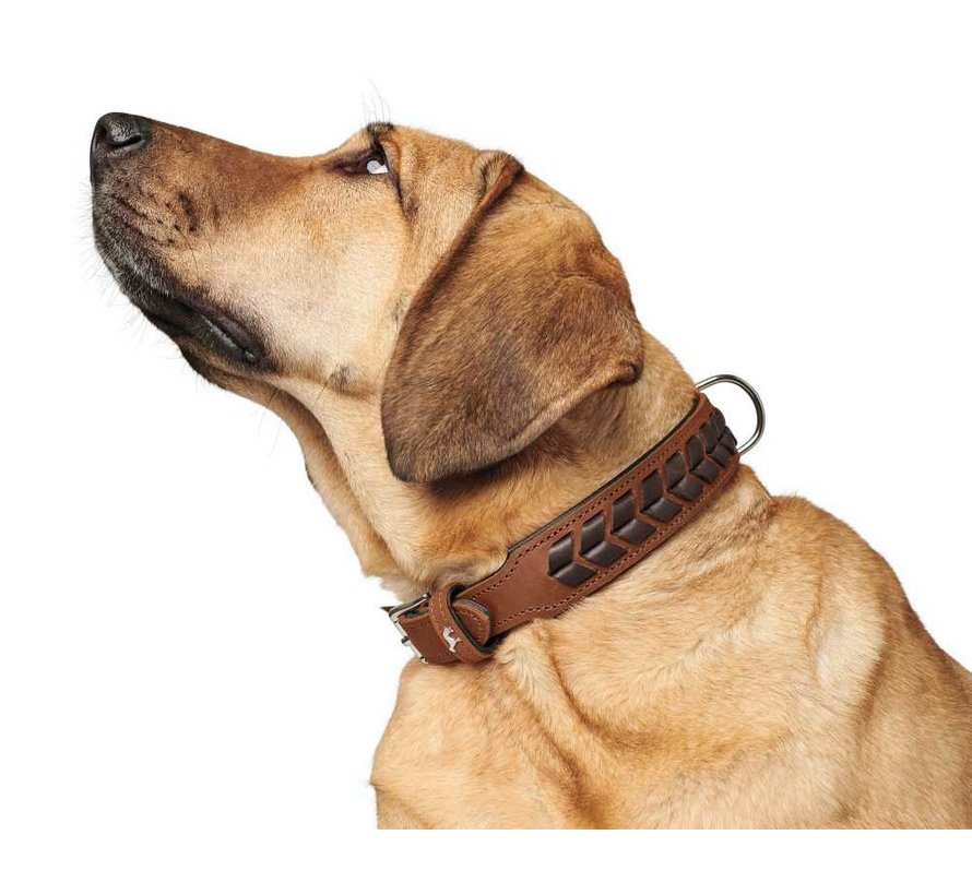 Dog Collar El Paso Cognac