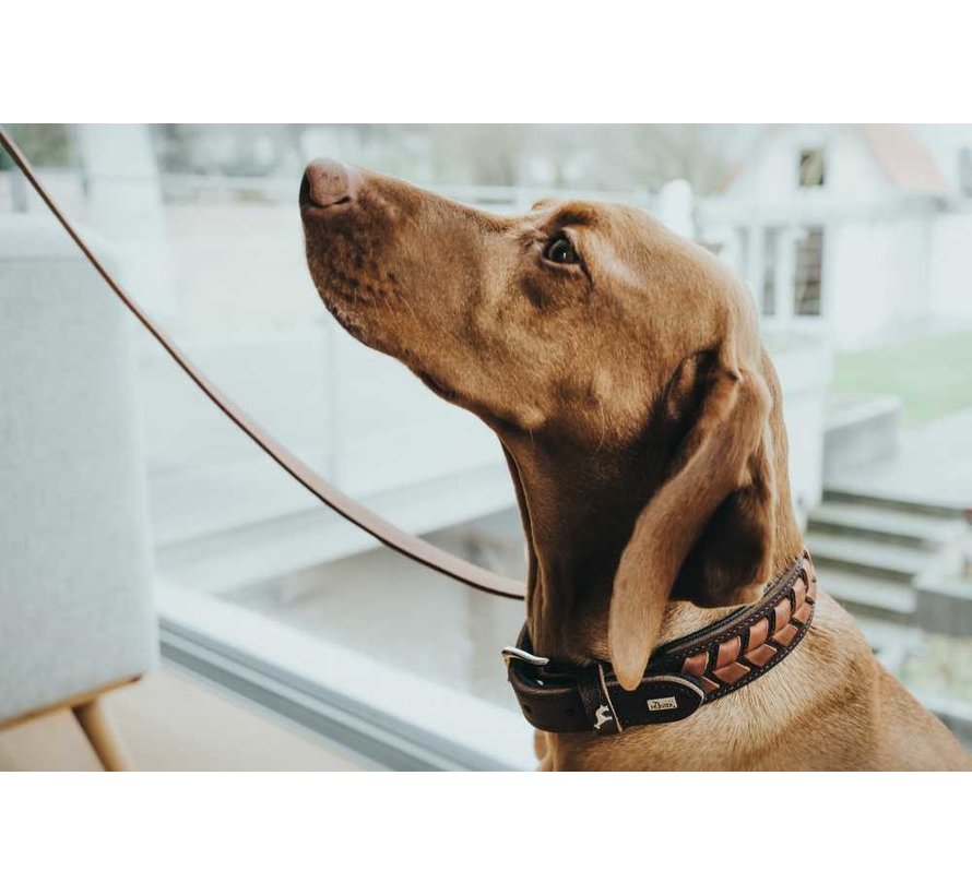 Dog Collar El Paso Brown