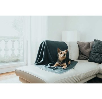 Hunter Dog Blanket Casper Anthracite