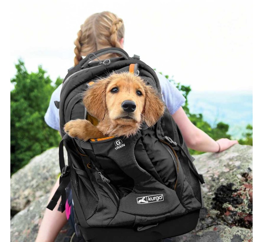 Kurgo Dog Backpack GTrain K9 Black