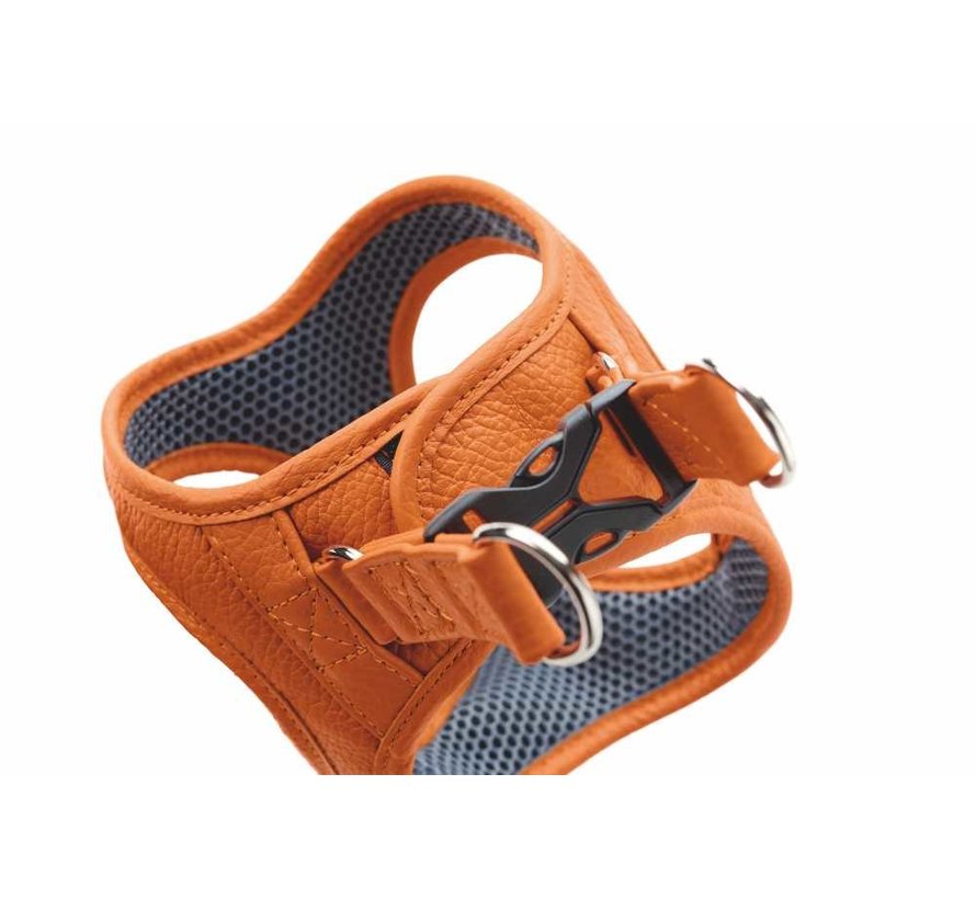 Dog Harness Hilo Orange