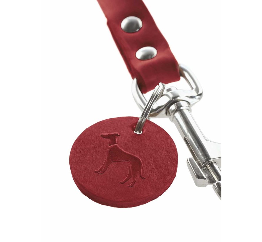 Dog Leash Red Leather