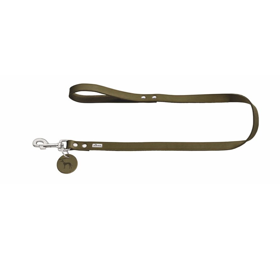 Dog Leash Green Leather