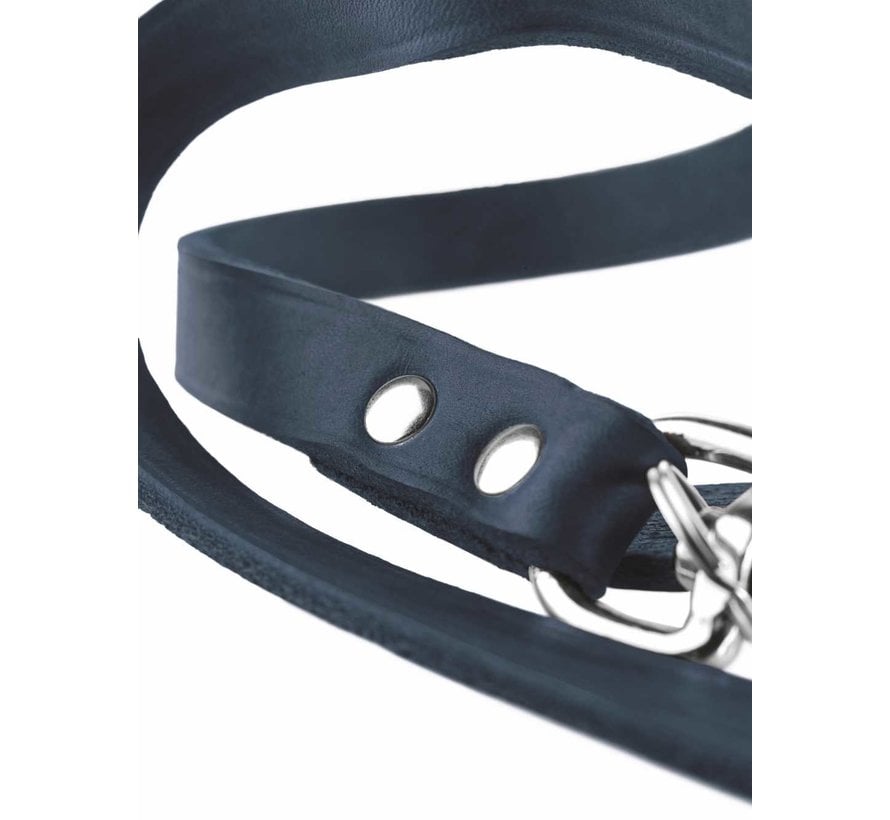 Adjustable Dog Leash Blue Leather