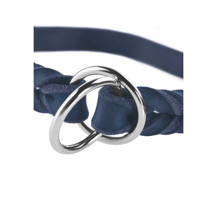 Dog Collar Solid Education Blue