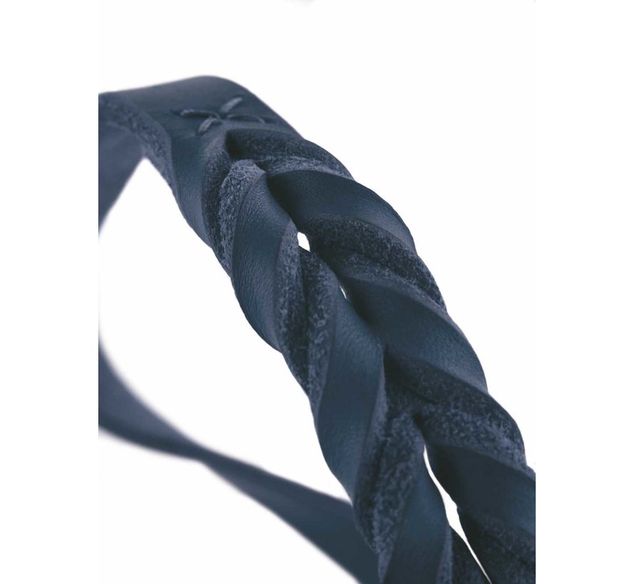 Dog Collar Solid Education Blue