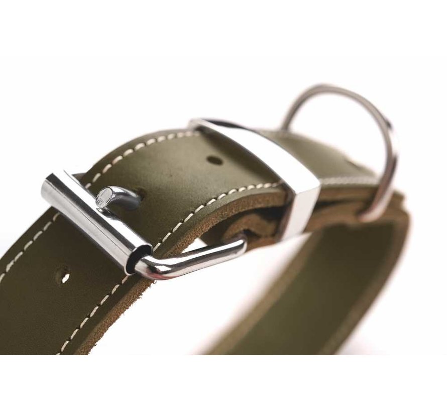 Dog Collar Aalborg Special Green
