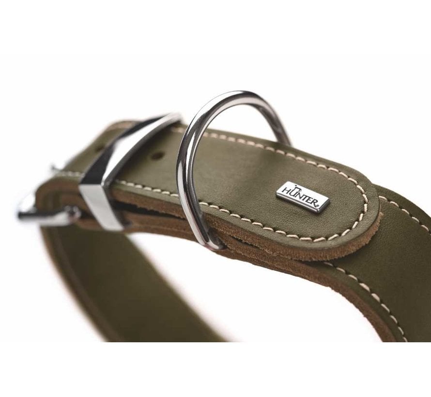 Dog Collar Aalborg Special Green