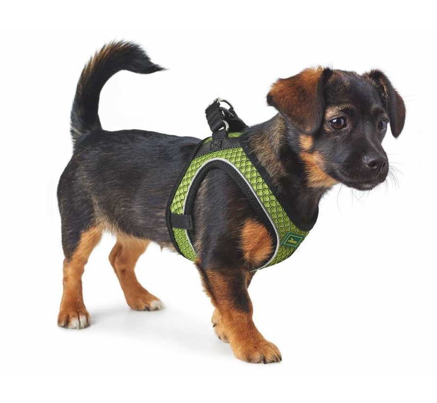 Dog Harness Hilo Comfort Lime