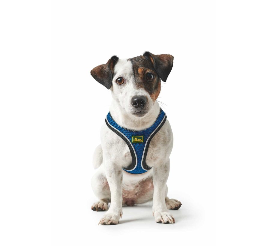 Dog Harness Hilo Comfort Blue