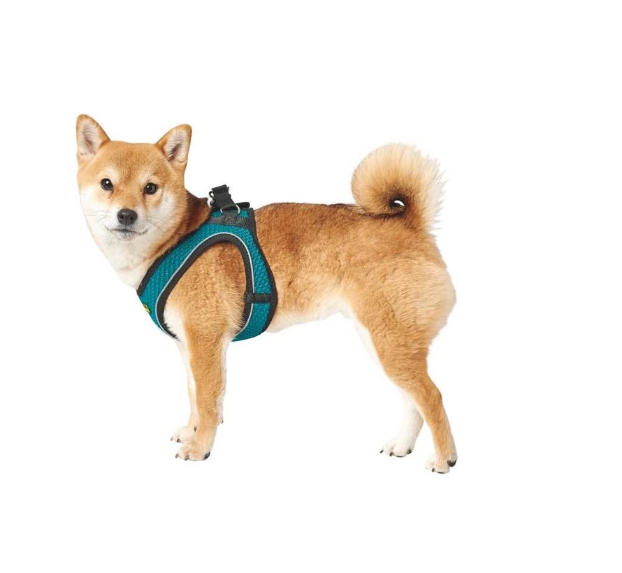 Dog Harness Hilo Comfort Turquoise