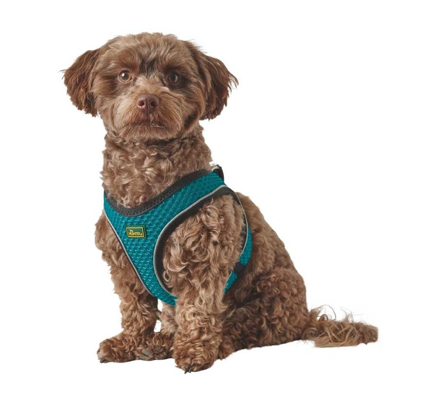 Dog Harness Hilo Comfort Turquoise