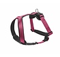 Dog Harness Neoprene Raspberry