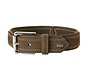 Dog Collar Hunting Brown
