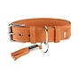 Dog Collar Cannes Orange