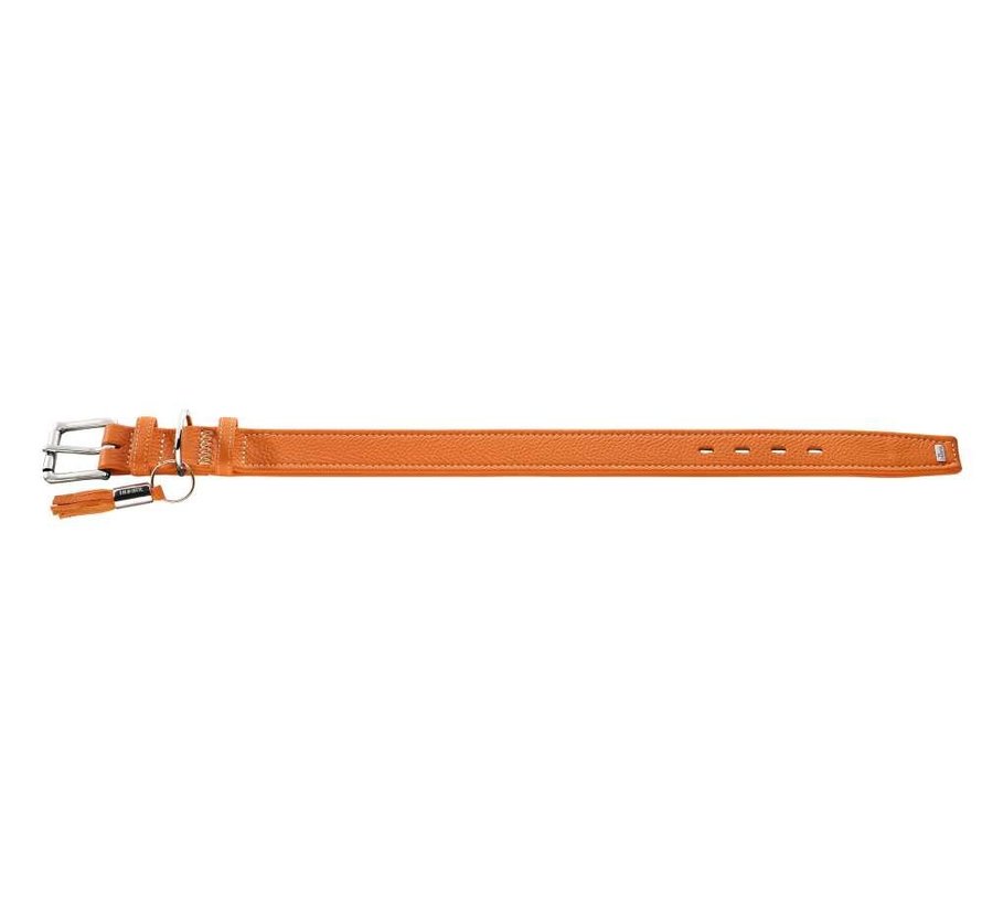 Dog Collar Cannes Orange