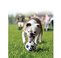 Hondenspeelgoed Sport Balls