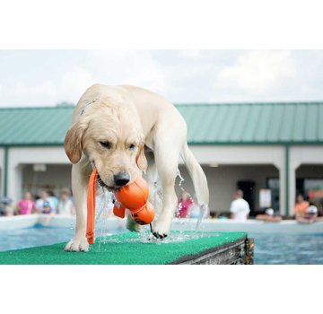 Kong Dog Toy Wubba Wet