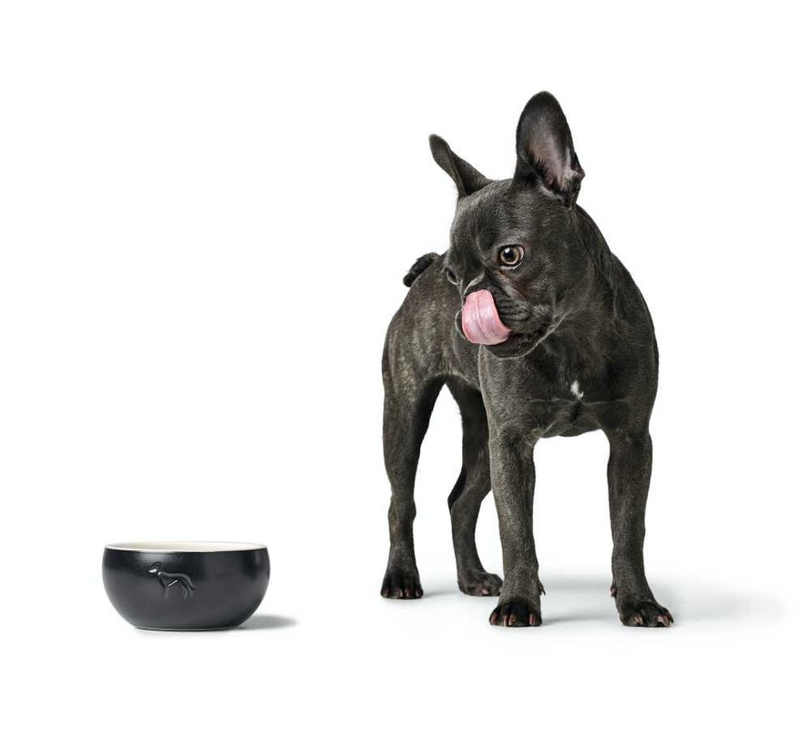 Drinking Bowl / Feeding Bowl Lund Black