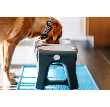 Dexas Adjustable Height Pet Feeder Light Grey