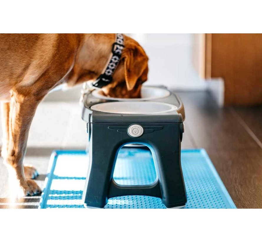 https://cdn.webshopapp.com/shops/24152/files/330250365/890x820x2/dexas-adjustable-height-pet-feeder-light-grey.jpg