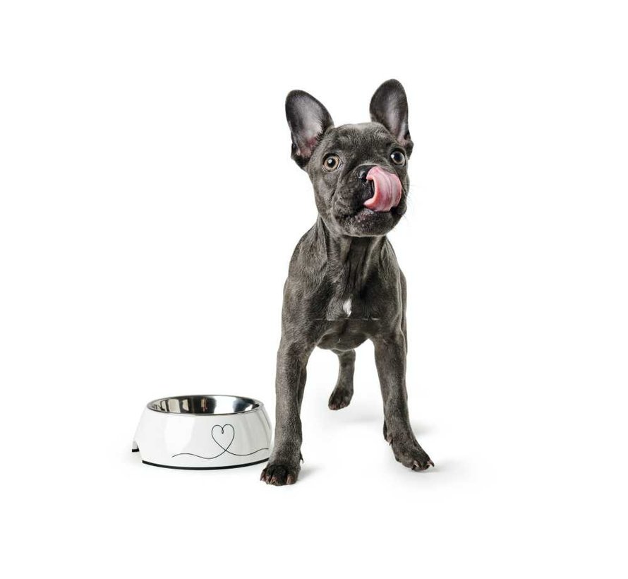 Dog Bowl Valencia White