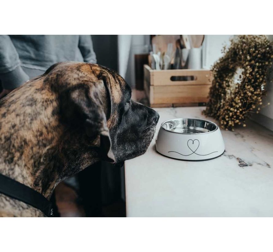 Dog Bowl Valencia White