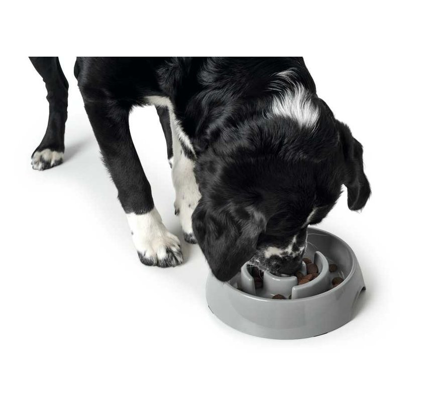 Slow Feeder Bowl Atlanta Grey