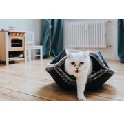 Hunter Cat Bed Lugano