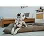 Dog Cushion Faux Leather Bologna Stone