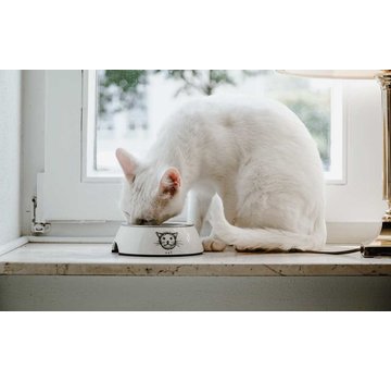 Hunter Cat Bowl Milos White